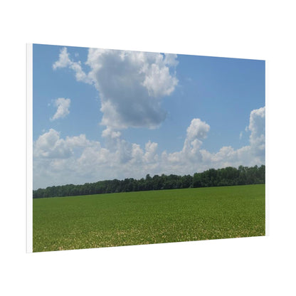 Nature Landscape Poster, Wall Art Print, Scenic Home Decor, Gift for Nature Lovers, Farmhouse Style Decoration, Office Wall Art