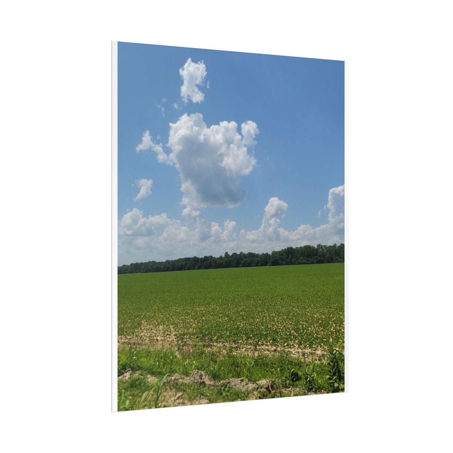 Nature Landscape Poster, Wall Art Print, Scenic Home Decor, Gift for Nature Lovers, Farmhouse Style Decoration, Office Wall Art