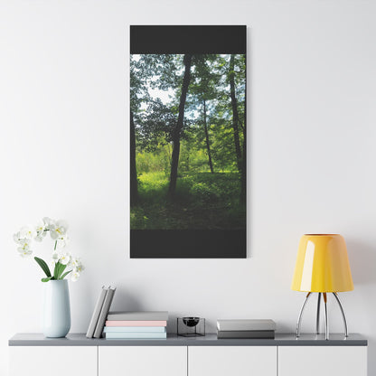 Scenic Canvas Wall Art - Nature-Inspired Home Decor, Forest Scene, Wall Hanging, Gift for Nature Lovers, Greenery Print