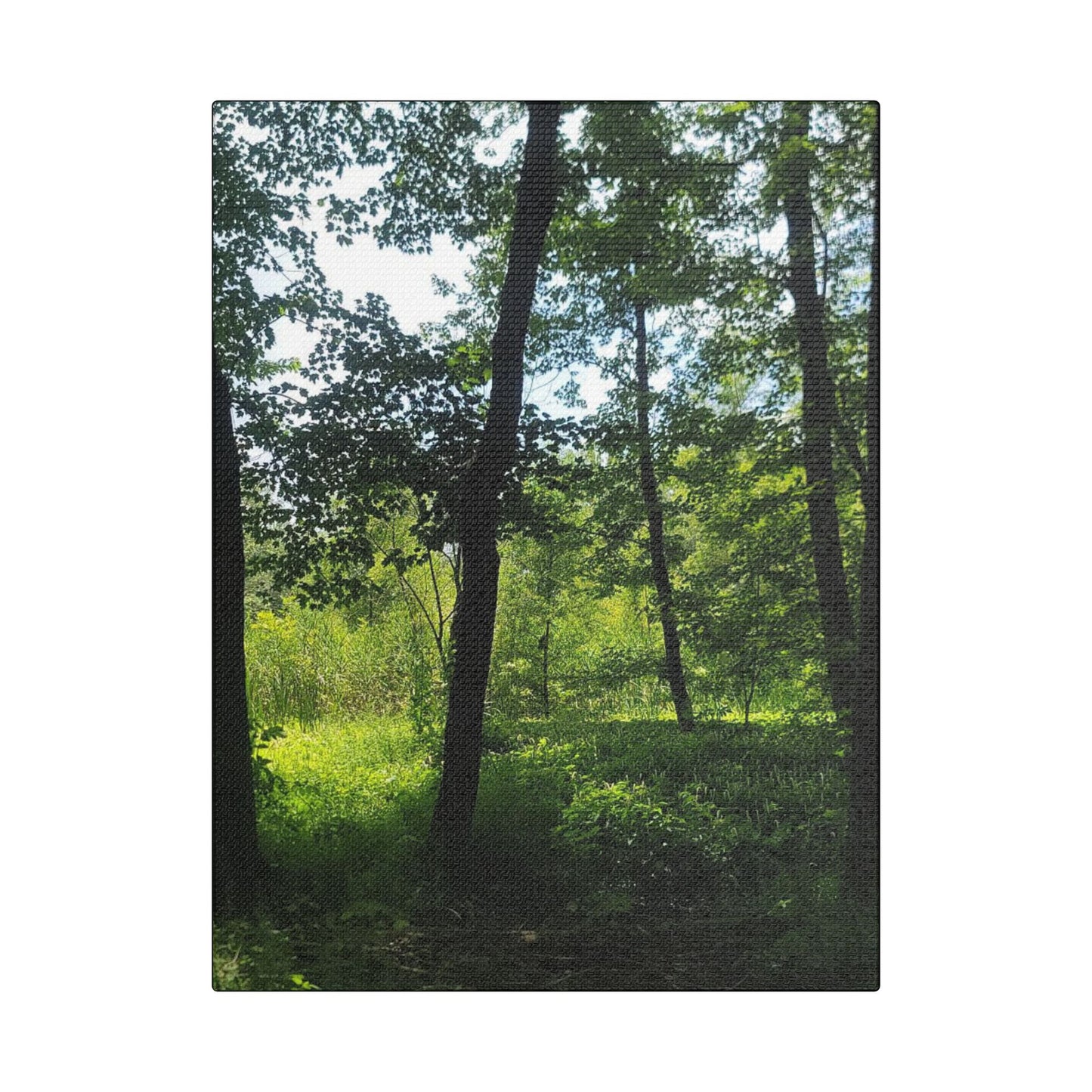 Scenic Canvas Wall Art - Nature-Inspired Home Decor, Forest Scene, Wall Hanging, Gift for Nature Lovers, Greenery Print