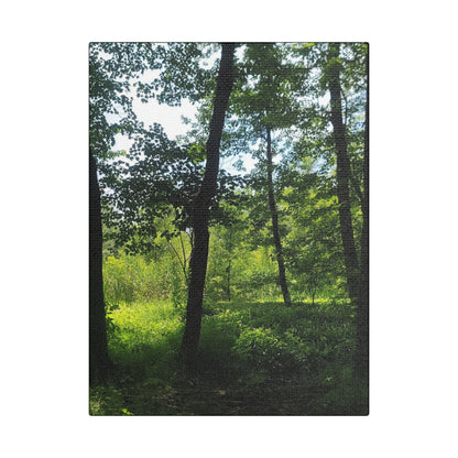 Scenic Canvas Wall Art - Nature-Inspired Home Decor, Forest Scene, Wall Hanging, Gift for Nature Lovers, Greenery Print