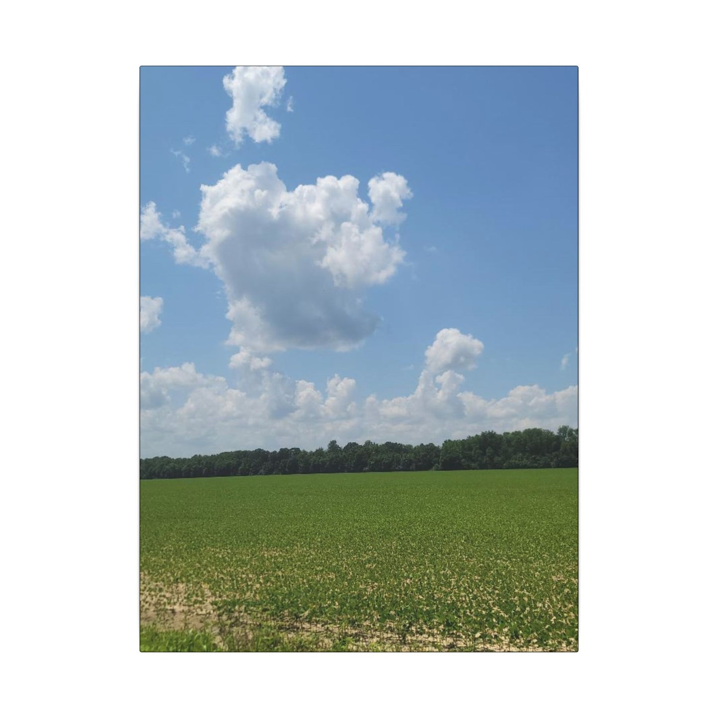Serene Landscape Canvas Wall Art, Nature Decor for Home, Farmhouse, Gift for Nature Lovers, Rustic Wall Art, Living Room Decoration