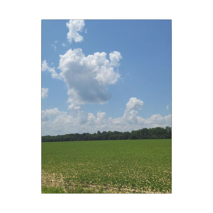 Serene Landscape Canvas Wall Art, Nature Decor for Home, Farmhouse, Gift for Nature Lovers, Rustic Wall Art, Living Room Decoration