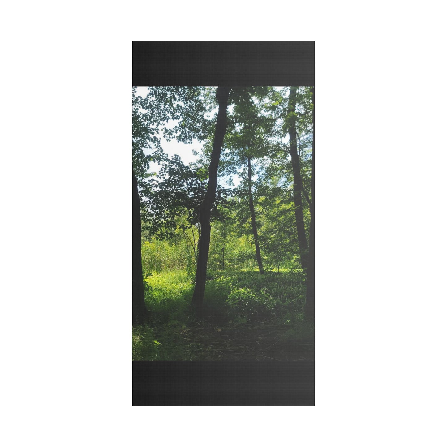 Scenic Canvas Wall Art - Nature-Inspired Home Decor, Forest Scene, Wall Hanging, Gift for Nature Lovers, Greenery Print