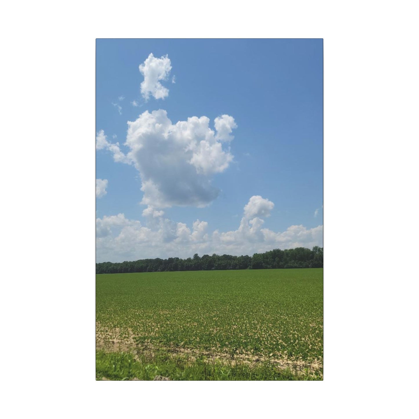 Serene Landscape Canvas Wall Art, Nature Decor for Home, Farmhouse, Gift for Nature Lovers, Rustic Wall Art, Living Room Decoration