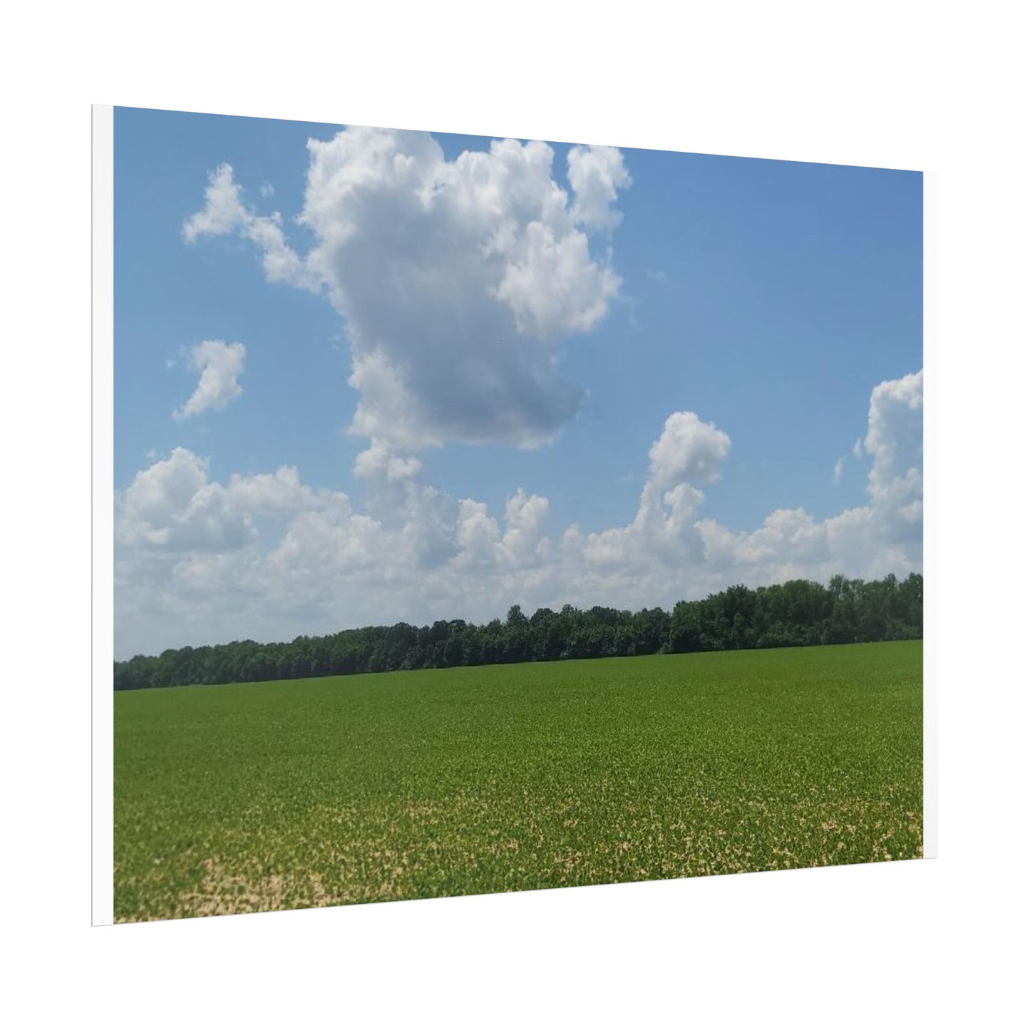 Nature Landscape Poster, Wall Art Print, Scenic Home Decor, Gift for Nature Lovers, Farmhouse Style Decoration, Office Wall Art
