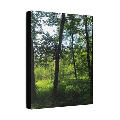 Scenic Canvas Wall Art - Nature-Inspired Home Decor, Forest Scene, Wall Hanging, Gift for Nature Lovers, Greenery Print