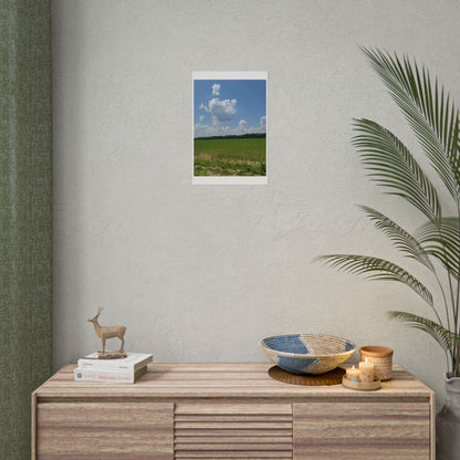 Nature Landscape Poster, Wall Art Print, Scenic Home Decor, Gift for Nature Lovers, Farmhouse Style Decoration, Office Wall Art