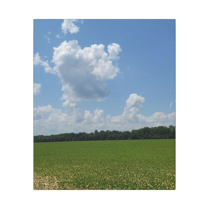 Serene Landscape Canvas Wall Art, Nature Decor for Home, Farmhouse, Gift for Nature Lovers, Rustic Wall Art, Living Room Decoration