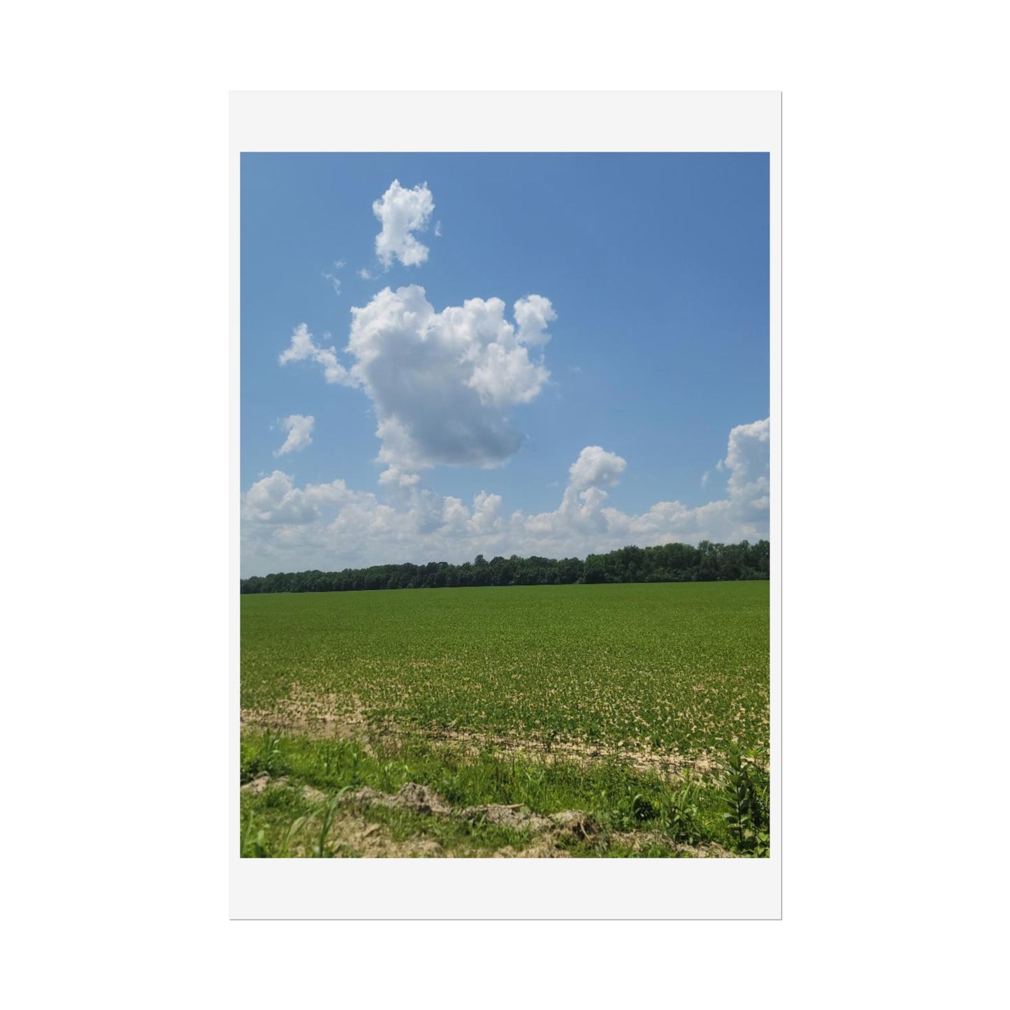 Nature Landscape Poster, Wall Art Print, Scenic Home Decor, Gift for Nature Lovers, Farmhouse Style Decoration, Office Wall Art