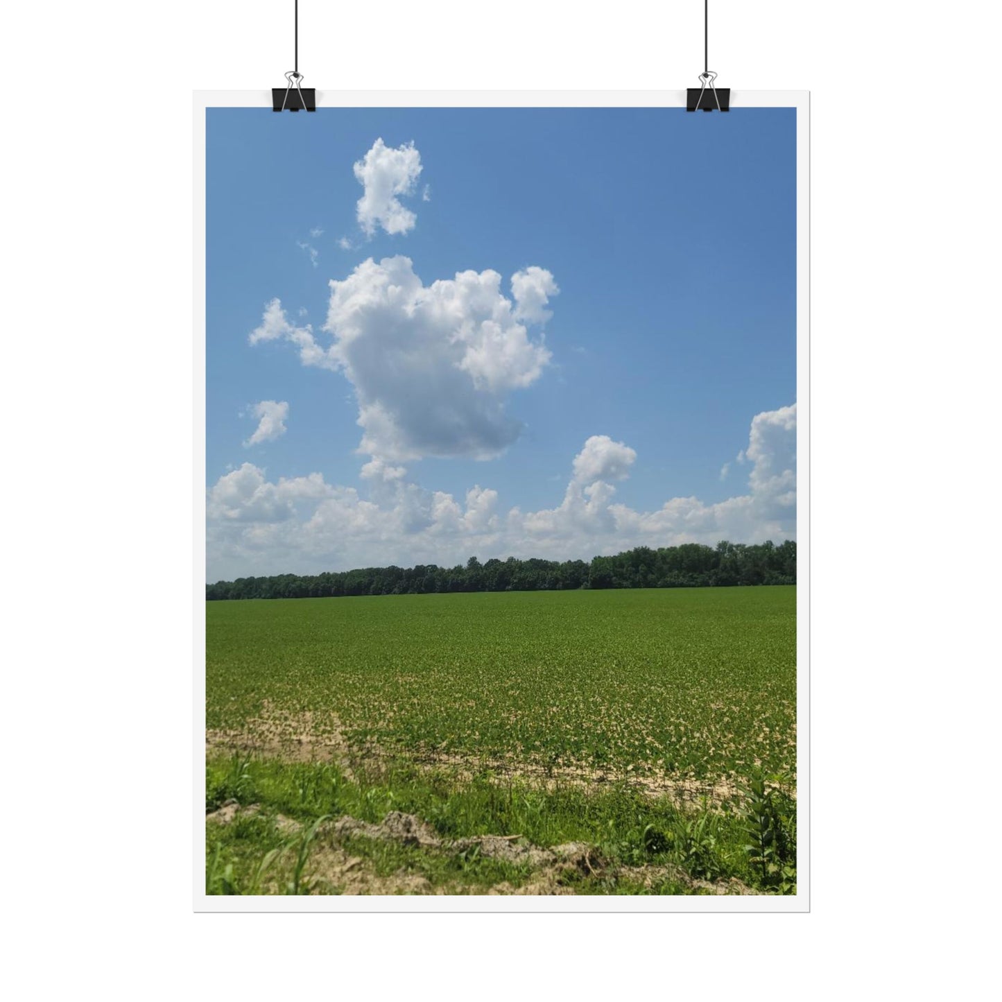 Nature Landscape Poster, Wall Art Print, Scenic Home Decor, Gift for Nature Lovers, Farmhouse Style Decoration, Office Wall Art