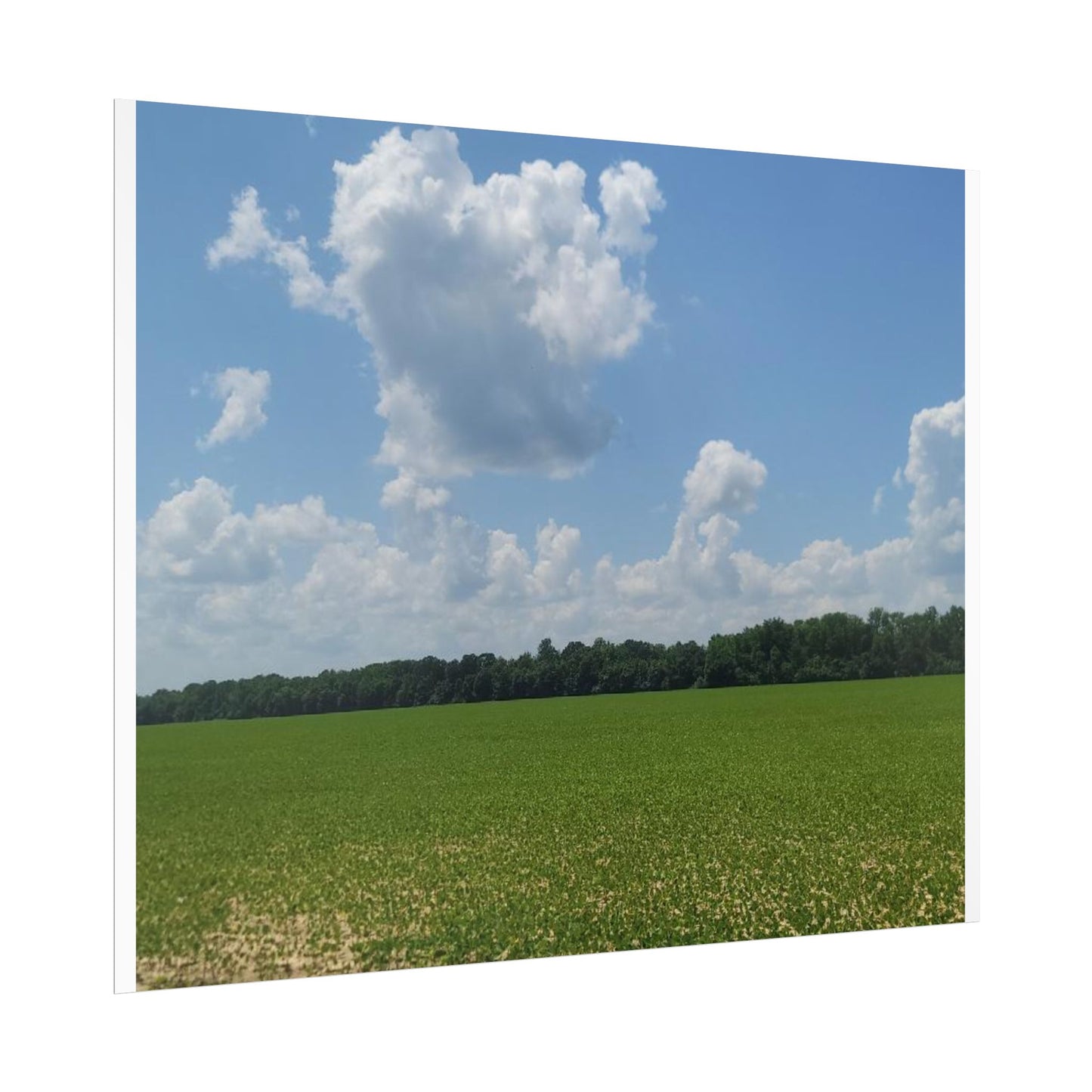 Nature Landscape Poster, Wall Art Print, Scenic Home Decor, Gift for Nature Lovers, Farmhouse Style Decoration, Office Wall Art