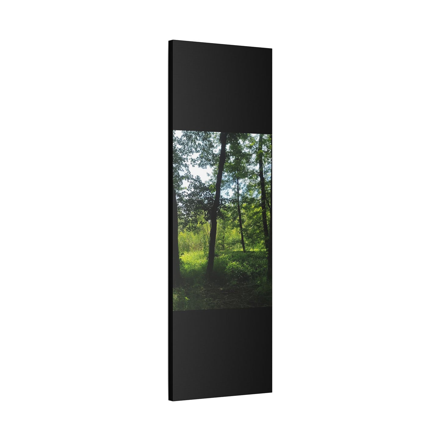 Scenic Canvas Wall Art - Nature-Inspired Home Decor, Forest Scene, Wall Hanging, Gift for Nature Lovers, Greenery Print