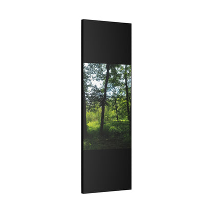 Scenic Canvas Wall Art - Nature-Inspired Home Decor, Forest Scene, Wall Hanging, Gift for Nature Lovers, Greenery Print