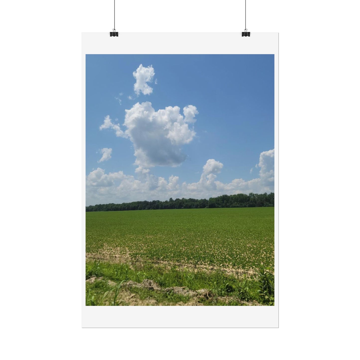 Nature Landscape Poster, Wall Art Print, Scenic Home Decor, Gift for Nature Lovers, Farmhouse Style Decoration, Office Wall Art