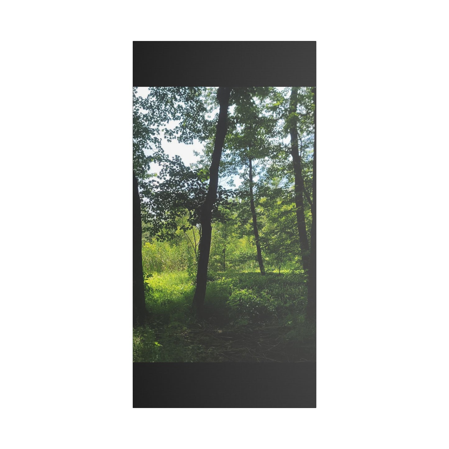 Scenic Canvas Wall Art - Nature-Inspired Home Decor, Forest Scene, Wall Hanging, Gift for Nature Lovers, Greenery Print