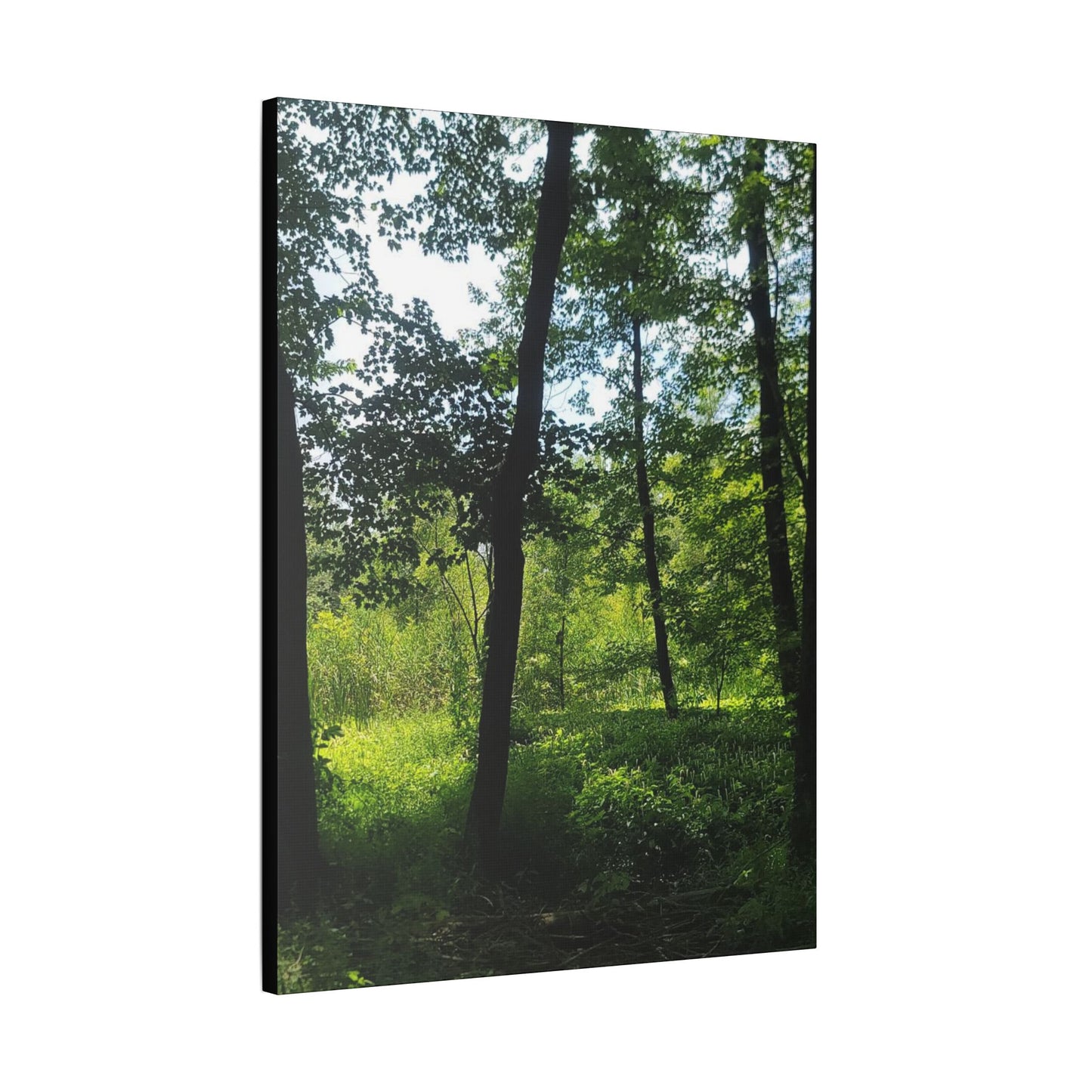 Scenic Canvas Wall Art - Nature-Inspired Home Decor, Forest Scene, Wall Hanging, Gift for Nature Lovers, Greenery Print