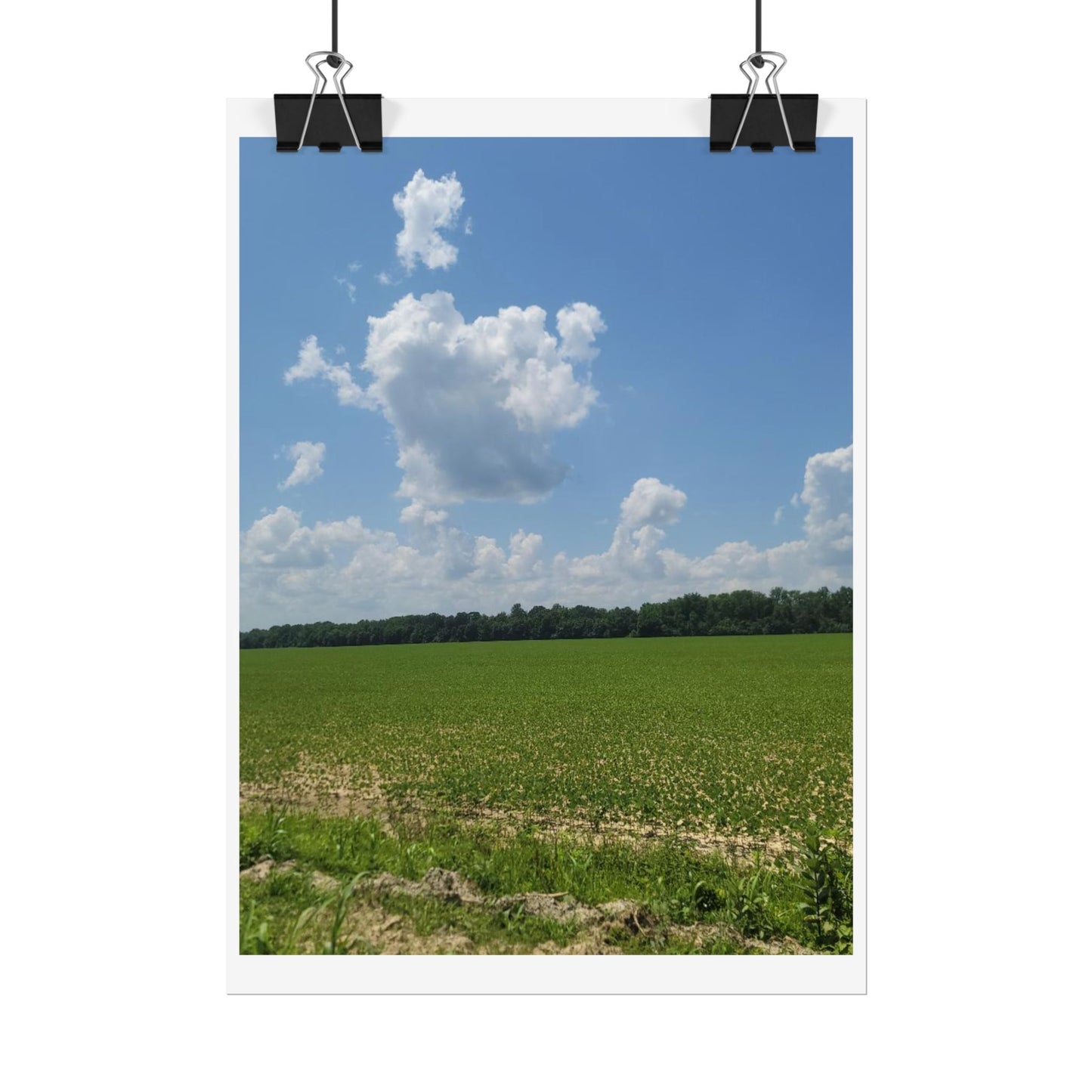 Nature Landscape Poster, Wall Art Print, Scenic Home Decor, Gift for Nature Lovers, Farmhouse Style Decoration, Office Wall Art