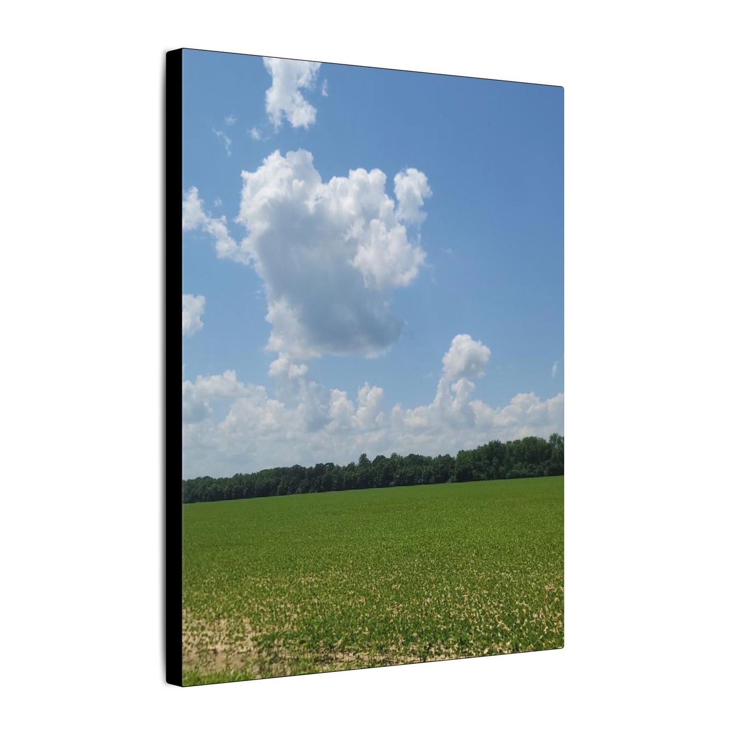 Serene Landscape Canvas Wall Art, Nature Decor for Home, Farmhouse, Gift for Nature Lovers, Rustic Wall Art, Living Room Decoration