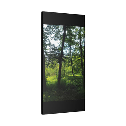 Scenic Canvas Wall Art - Nature-Inspired Home Decor, Forest Scene, Wall Hanging, Gift for Nature Lovers, Greenery Print