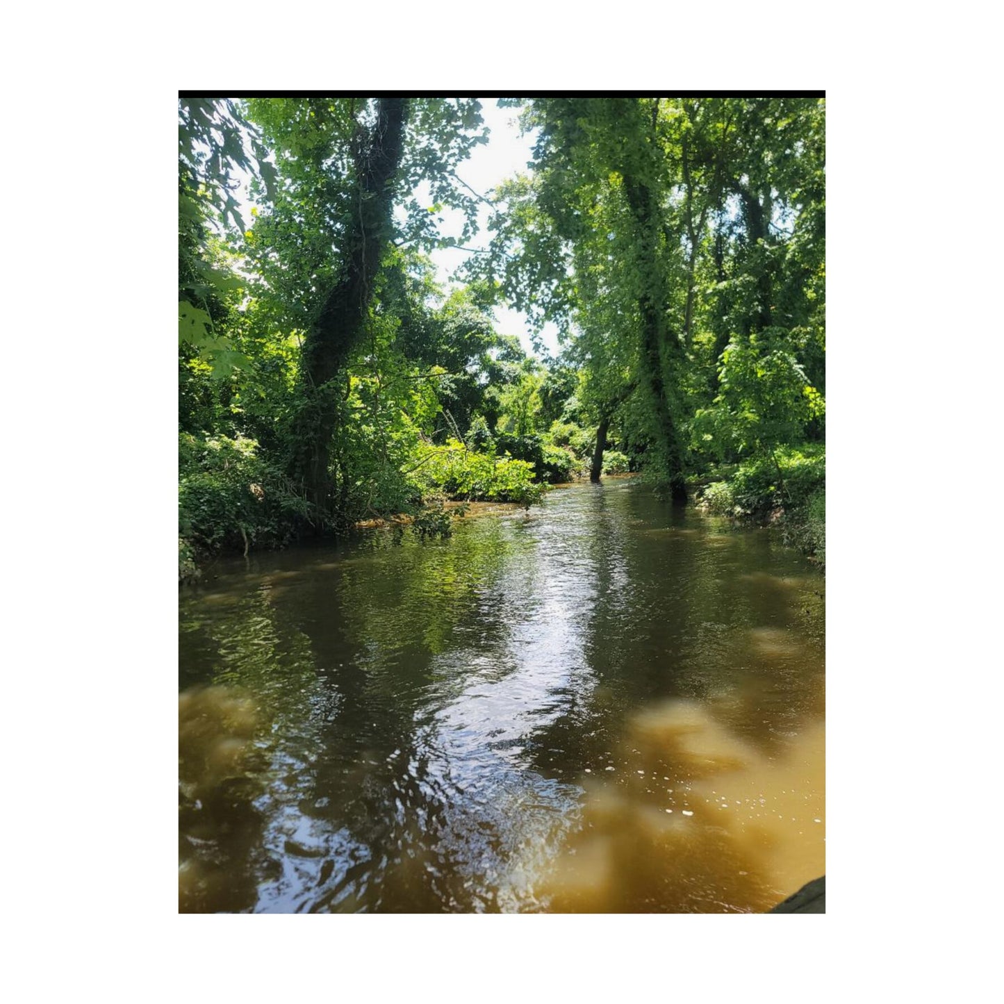 Serene Nature Wall Art, Matte Vertical Posters, Home Decor, Eco-Friendly Decor, Office Decor, Gift for Nature Lovers