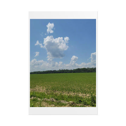 Nature Landscape Poster, Wall Art Print, Scenic Home Decor, Gift for Nature Lovers, Farmhouse Style Decoration, Office Wall Art