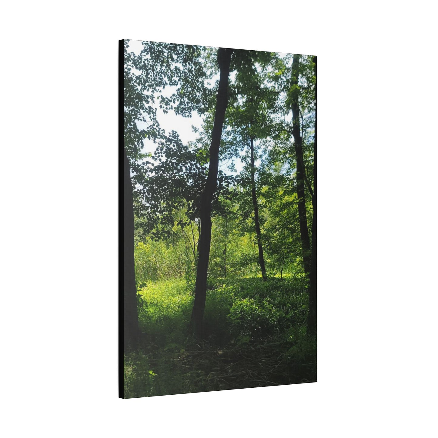 Scenic Canvas Wall Art - Nature-Inspired Home Decor, Forest Scene, Wall Hanging, Gift for Nature Lovers, Greenery Print