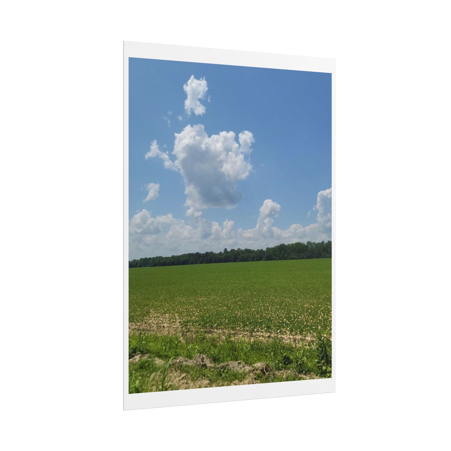 Nature Landscape Poster, Wall Art Print, Scenic Home Decor, Gift for Nature Lovers, Farmhouse Style Decoration, Office Wall Art