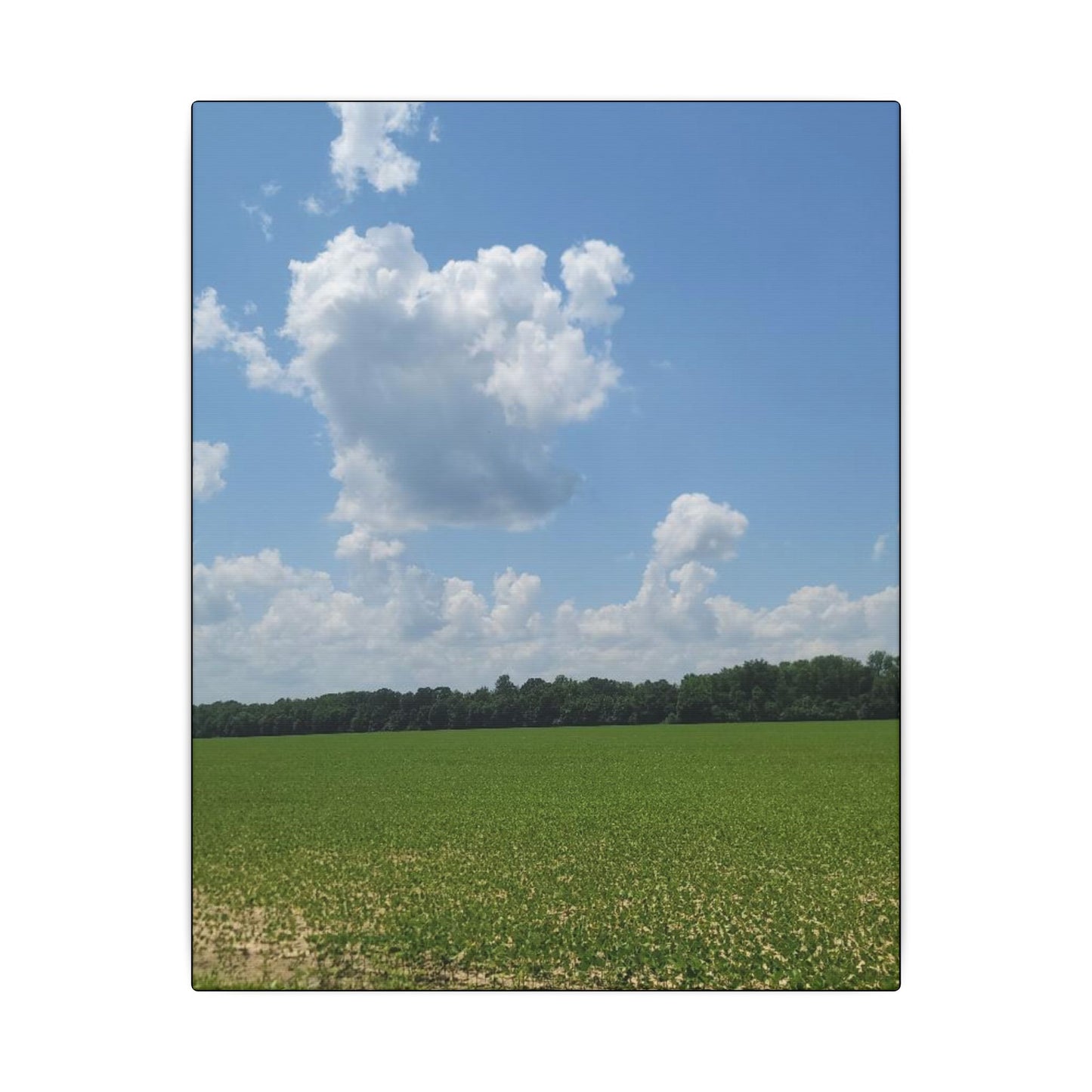 Serene Landscape Canvas Wall Art, Nature Decor for Home, Farmhouse, Gift for Nature Lovers, Rustic Wall Art, Living Room Decoration