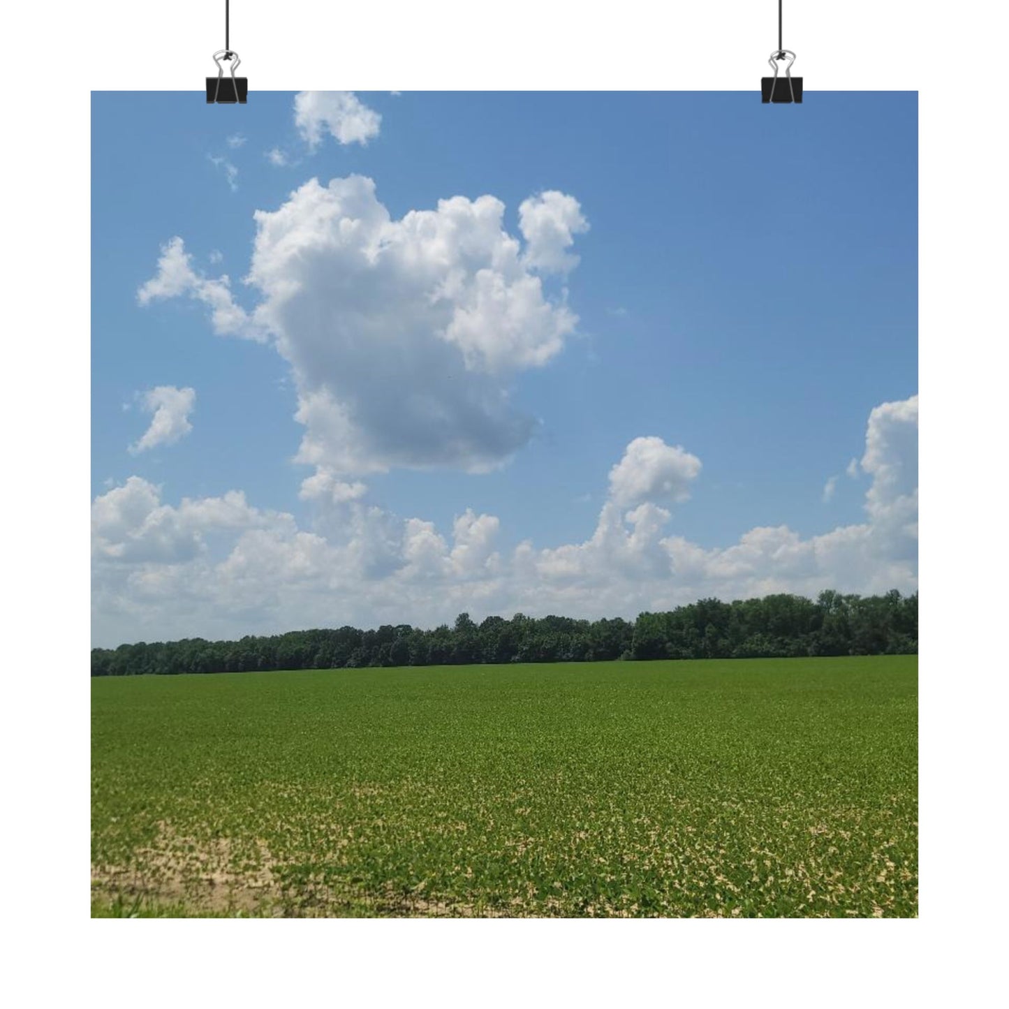 Scenic Matte Horizontal Posters for Home Decor, Wall Art, Nature-Inspired Decoration, Gifts for Nature Lovers, Housewarming Decor