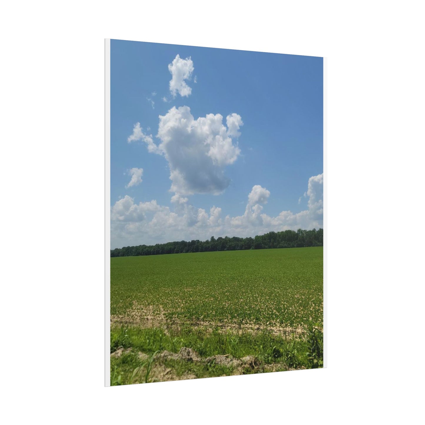 Nature Landscape Poster, Wall Art Print, Scenic Home Decor, Gift for Nature Lovers, Farmhouse Style Decoration, Office Wall Art