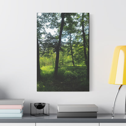 Scenic Canvas Wall Art - Nature-Inspired Home Decor, Forest Scene, Wall Hanging, Gift for Nature Lovers, Greenery Print