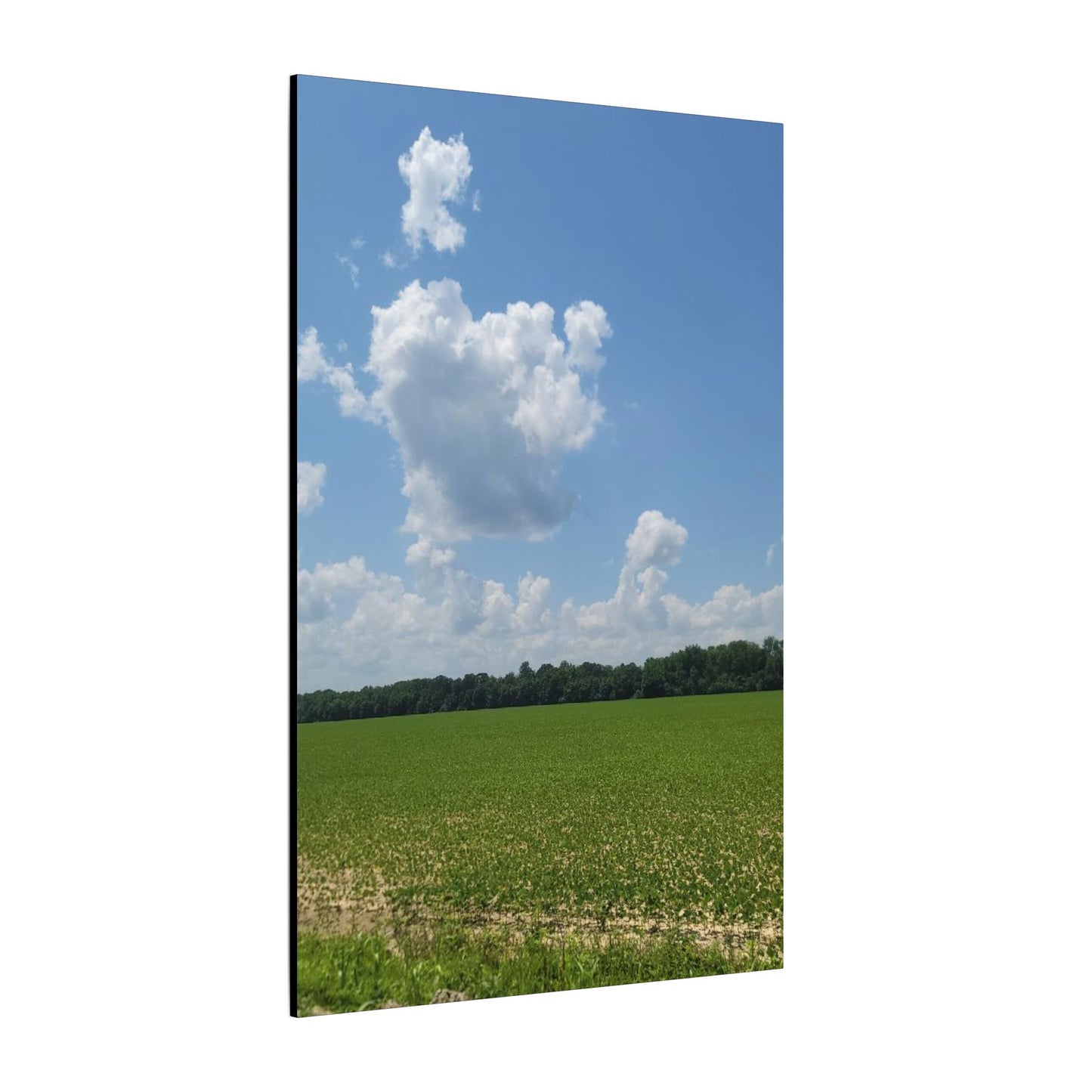 Serene Landscape Canvas Wall Art, Nature Decor for Home, Farmhouse, Gift for Nature Lovers, Rustic Wall Art, Living Room Decoration