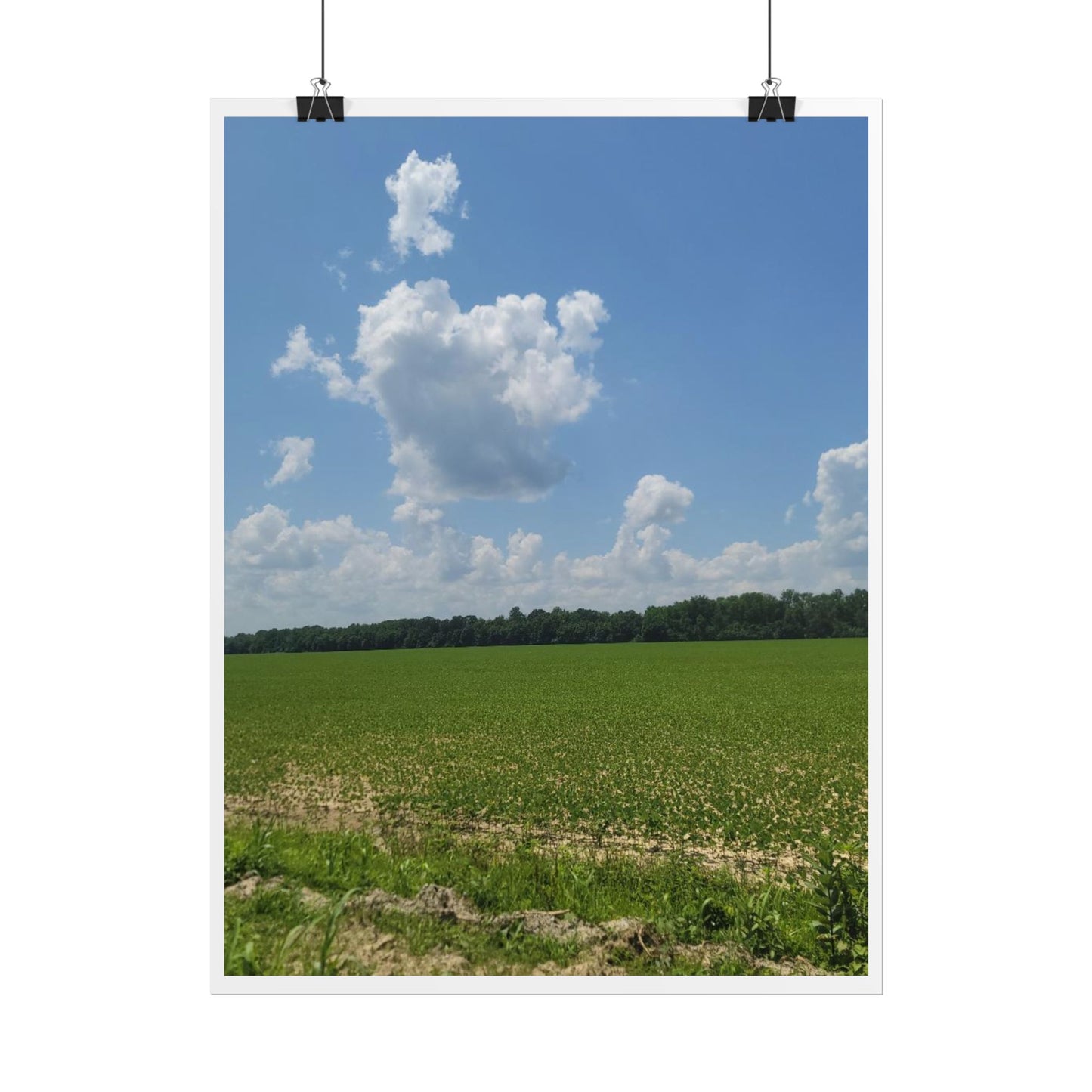 Nature Landscape Poster, Wall Art Print, Scenic Home Decor, Gift for Nature Lovers, Farmhouse Style Decoration, Office Wall Art