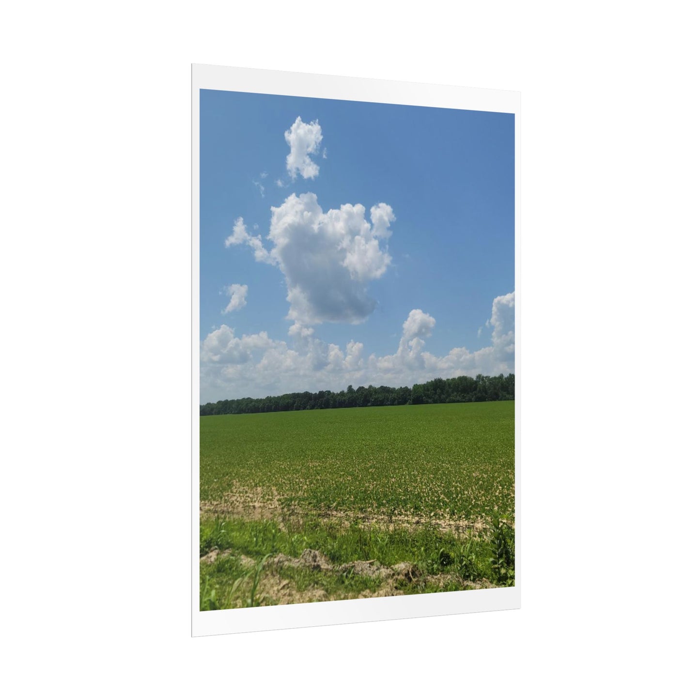 Nature Landscape Poster, Wall Art Print, Scenic Home Decor, Gift for Nature Lovers, Farmhouse Style Decoration, Office Wall Art