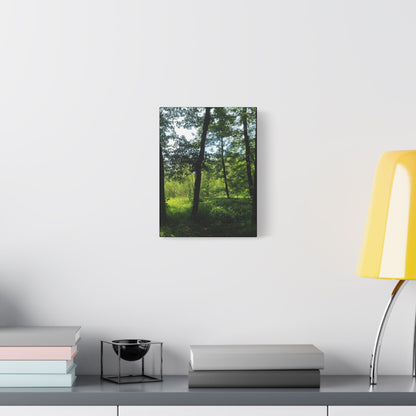 Scenic Canvas Wall Art - Nature-Inspired Home Decor, Forest Scene, Wall Hanging, Gift for Nature Lovers, Greenery Print