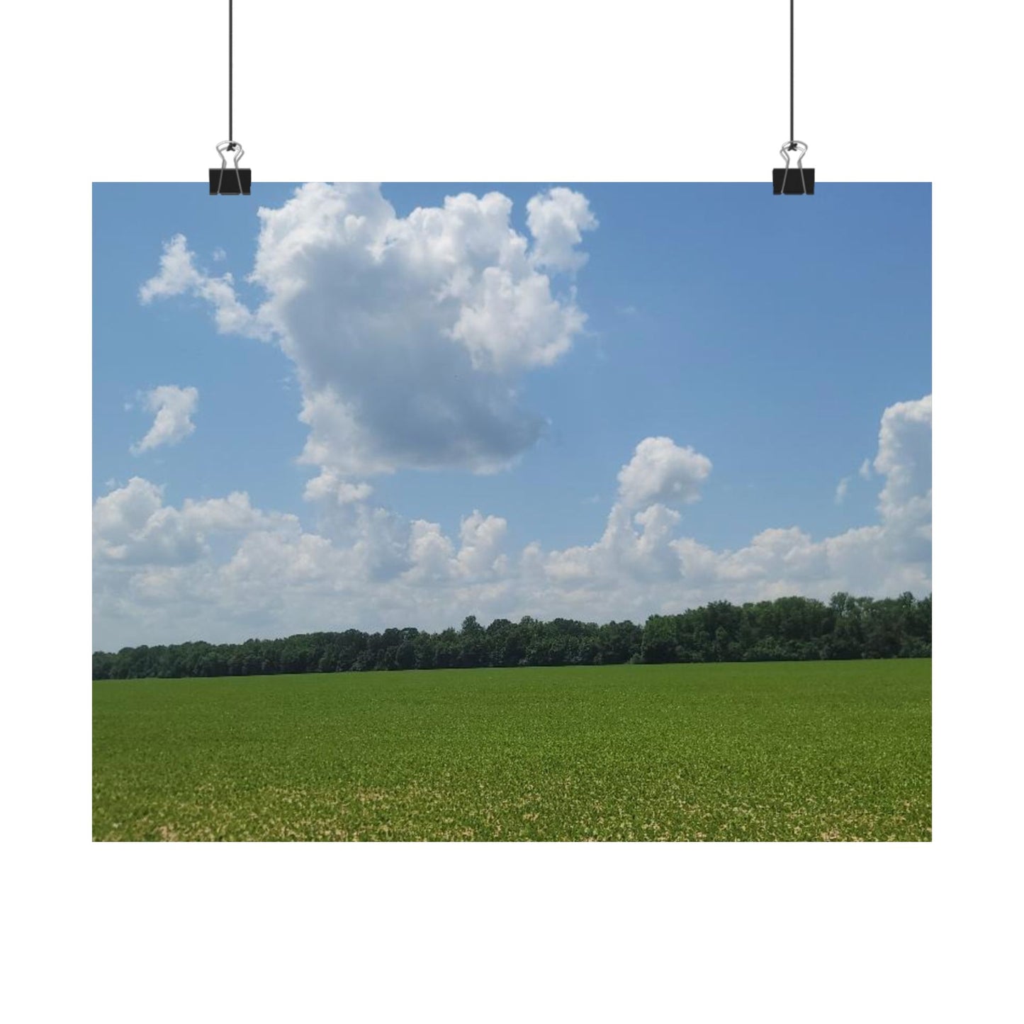 Scenic Matte Horizontal Posters for Home Decor, Wall Art, Nature-Inspired Decoration, Gifts for Nature Lovers, Housewarming Decor