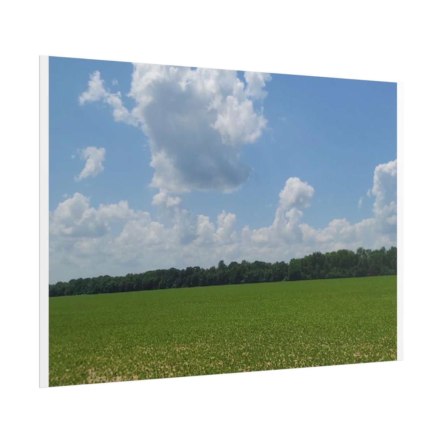 Nature Landscape Poster, Wall Art Print, Scenic Home Decor, Gift for Nature Lovers, Farmhouse Style Decoration, Office Wall Art