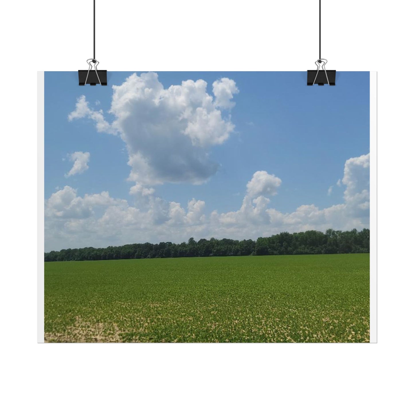 Nature Landscape Poster, Wall Art Print, Scenic Home Decor, Gift for Nature Lovers, Farmhouse Style Decoration, Office Wall Art