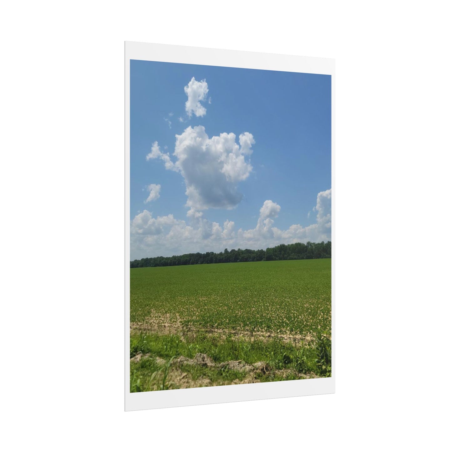 Nature Landscape Poster, Wall Art Print, Scenic Home Decor, Gift for Nature Lovers, Farmhouse Style Decoration, Office Wall Art