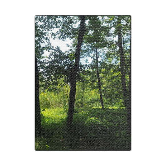 Scenic Canvas Wall Art - Nature-Inspired Home Decor, Forest Scene, Wall Hanging, Gift for Nature Lovers, Greenery Print
