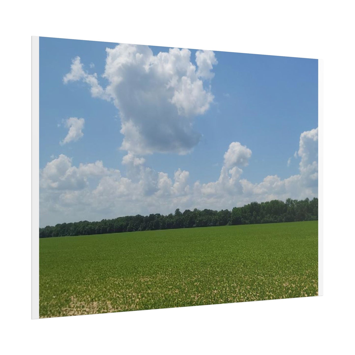 Nature Landscape Poster, Wall Art Print, Scenic Home Decor, Gift for Nature Lovers, Farmhouse Style Decoration, Office Wall Art