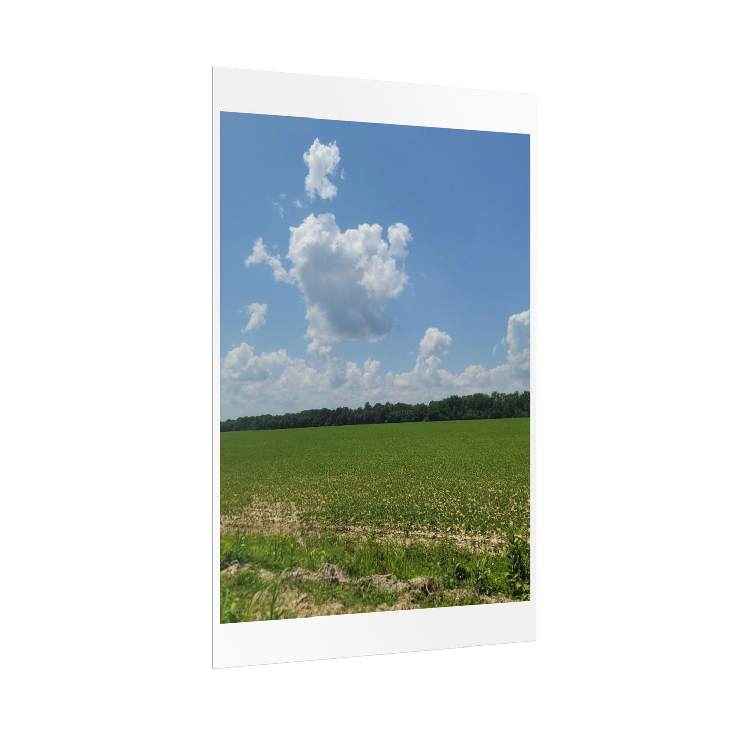 Nature Landscape Poster, Wall Art Print, Scenic Home Decor, Gift for Nature Lovers, Farmhouse Style Decoration, Office Wall Art