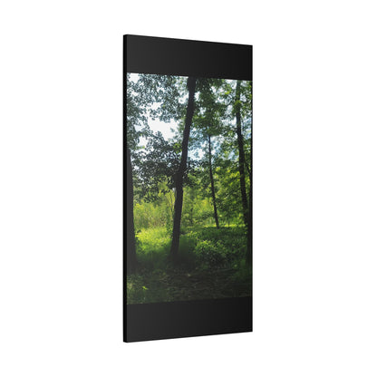 Scenic Canvas Wall Art - Nature-Inspired Home Decor, Forest Scene, Wall Hanging, Gift for Nature Lovers, Greenery Print