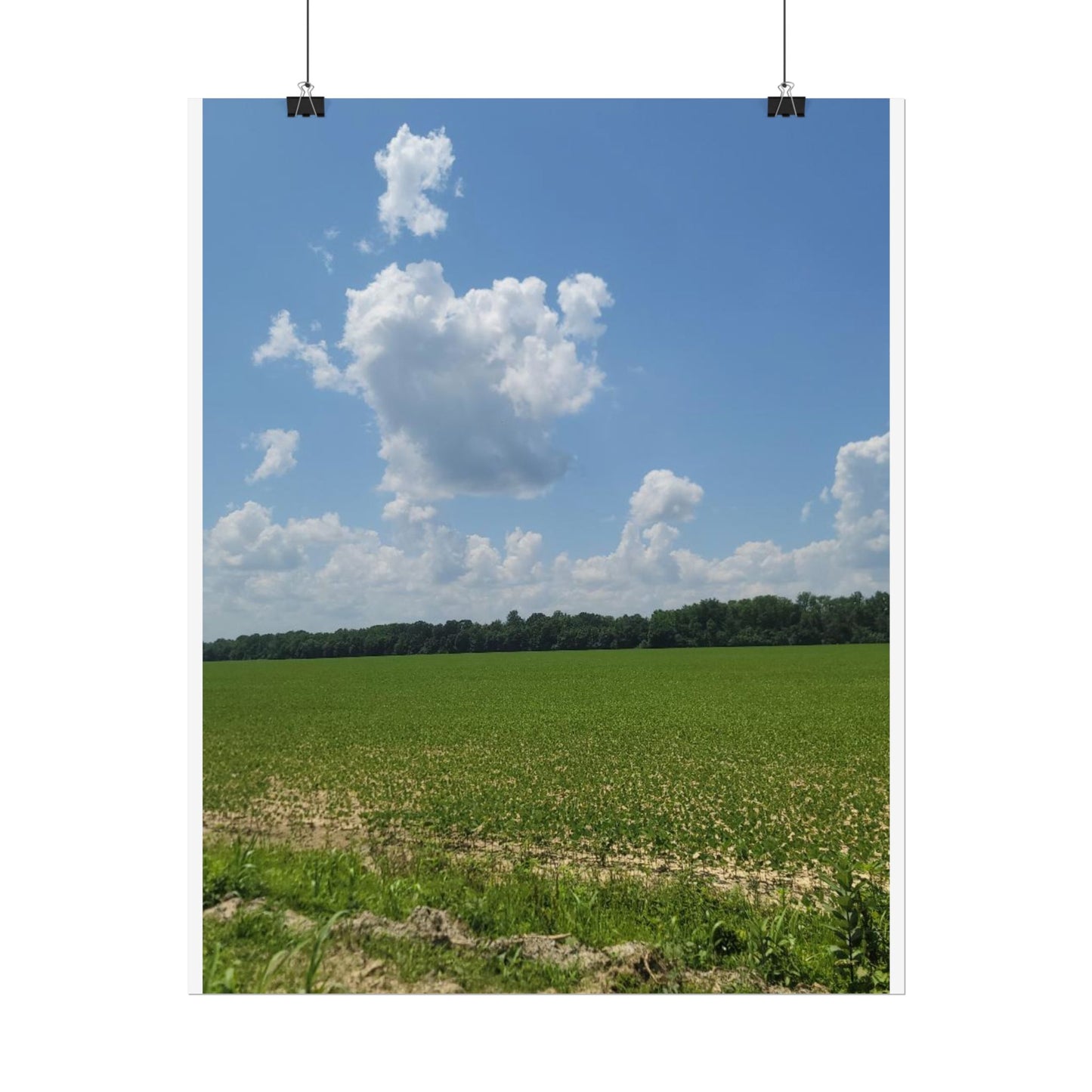 Nature Landscape Poster, Wall Art Print, Scenic Home Decor, Gift for Nature Lovers, Farmhouse Style Decoration, Office Wall Art