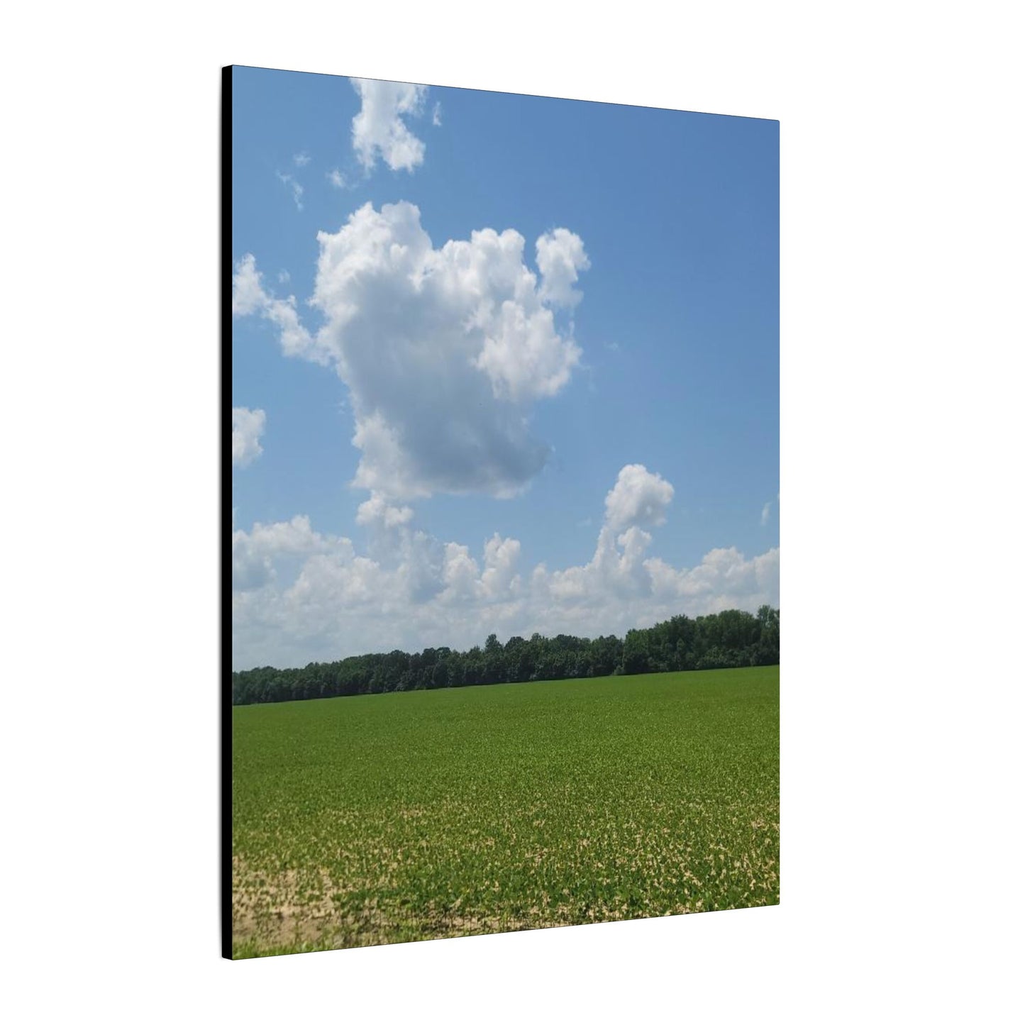 Serene Landscape Canvas Wall Art, Nature Decor for Home, Farmhouse, Gift for Nature Lovers, Rustic Wall Art, Living Room Decoration