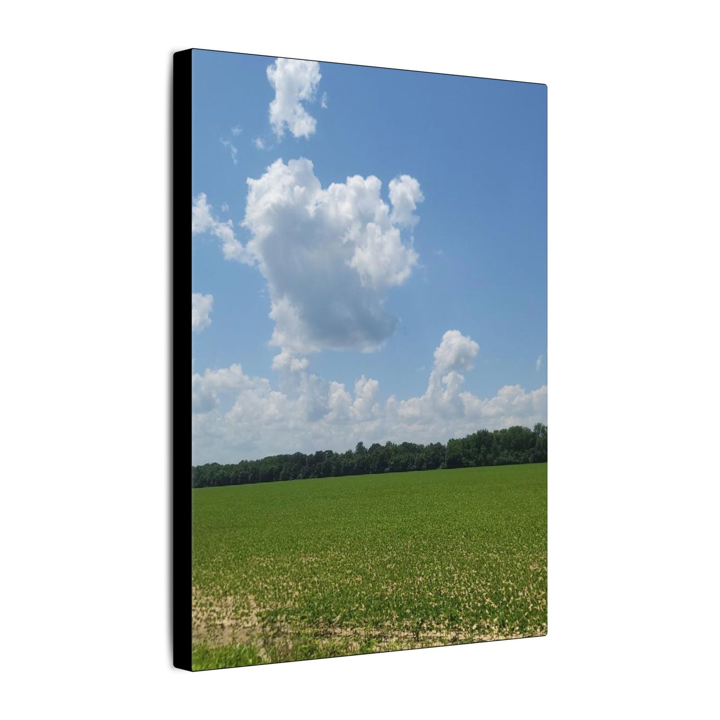 Serene Landscape Canvas Wall Art, Nature Decor for Home, Farmhouse, Gift for Nature Lovers, Rustic Wall Art, Living Room Decoration