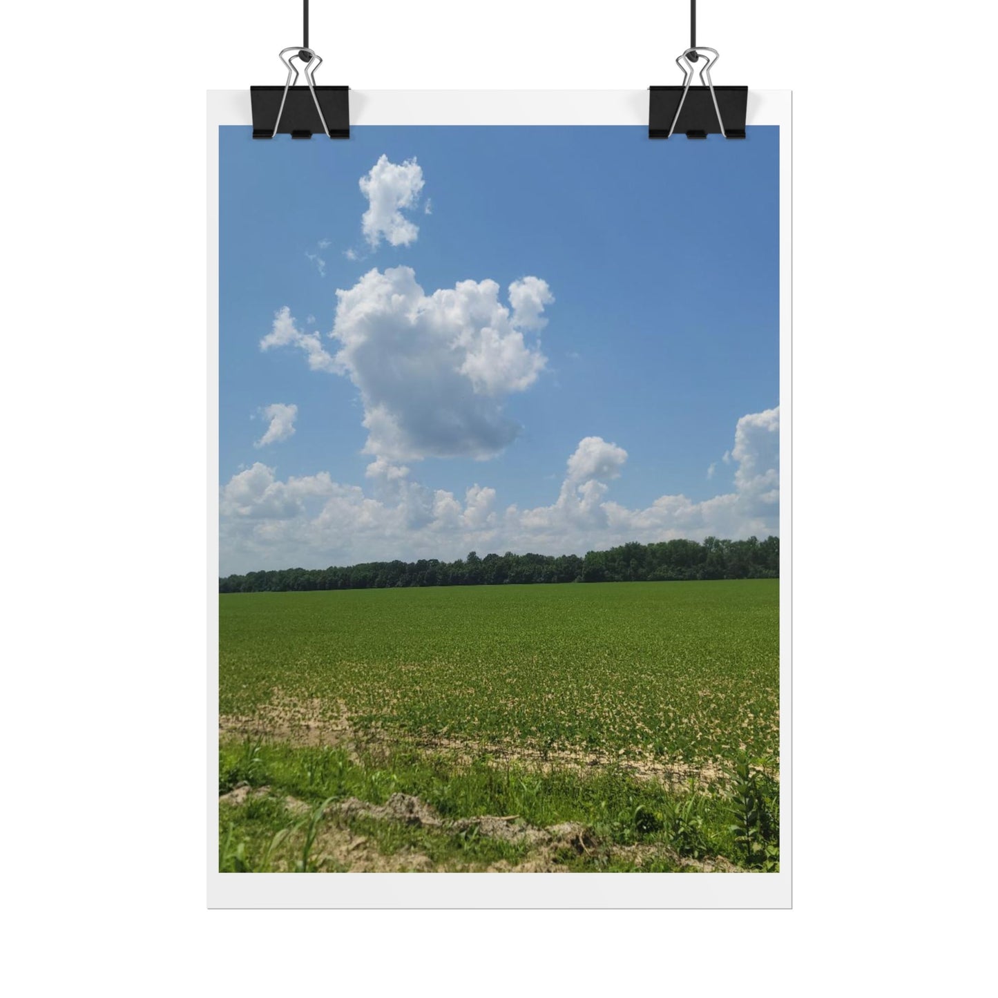 Nature Landscape Poster, Wall Art Print, Scenic Home Decor, Gift for Nature Lovers, Farmhouse Style Decoration, Office Wall Art