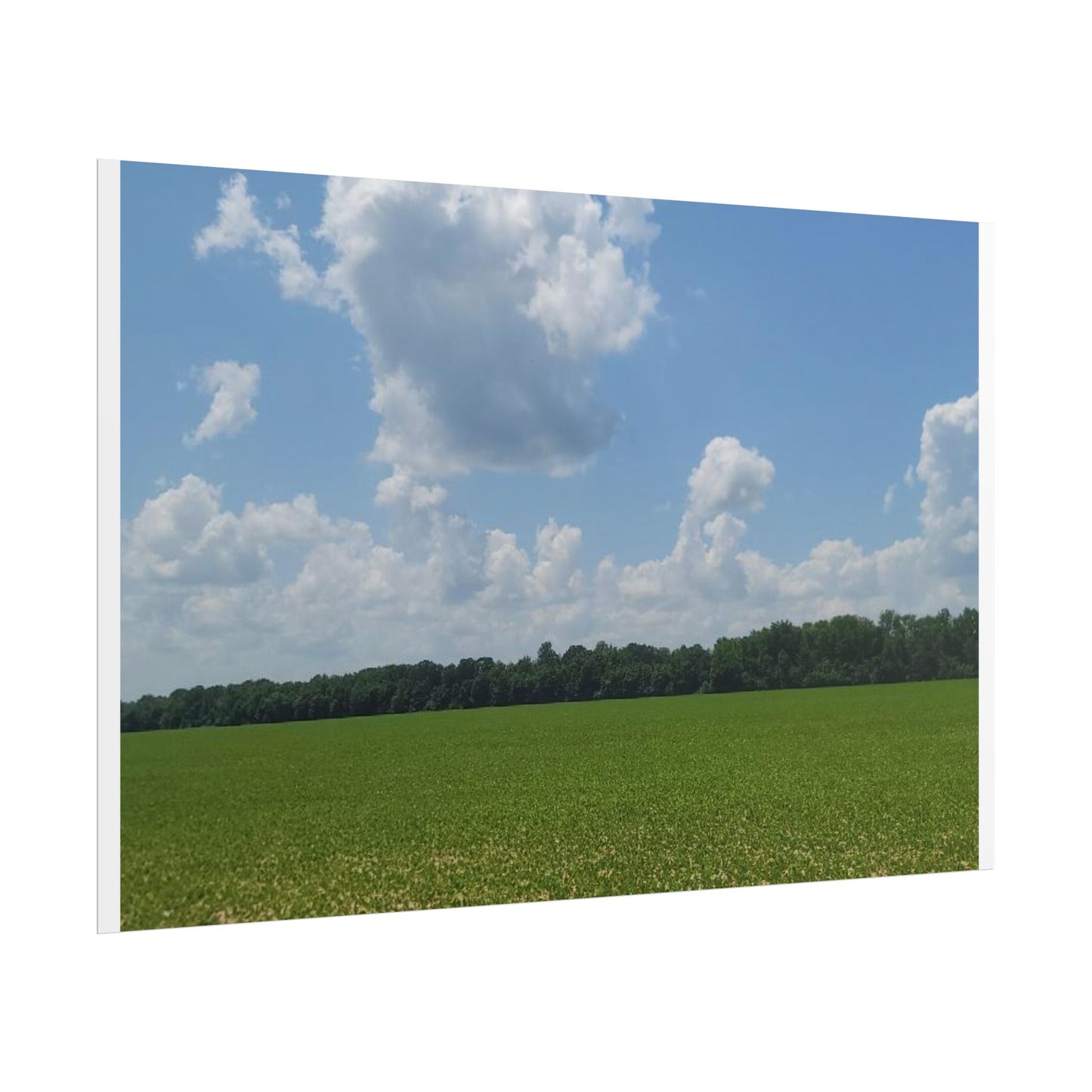 Nature Landscape Poster, Wall Art Print, Scenic Home Decor, Gift for Nature Lovers, Farmhouse Style Decoration, Office Wall Art