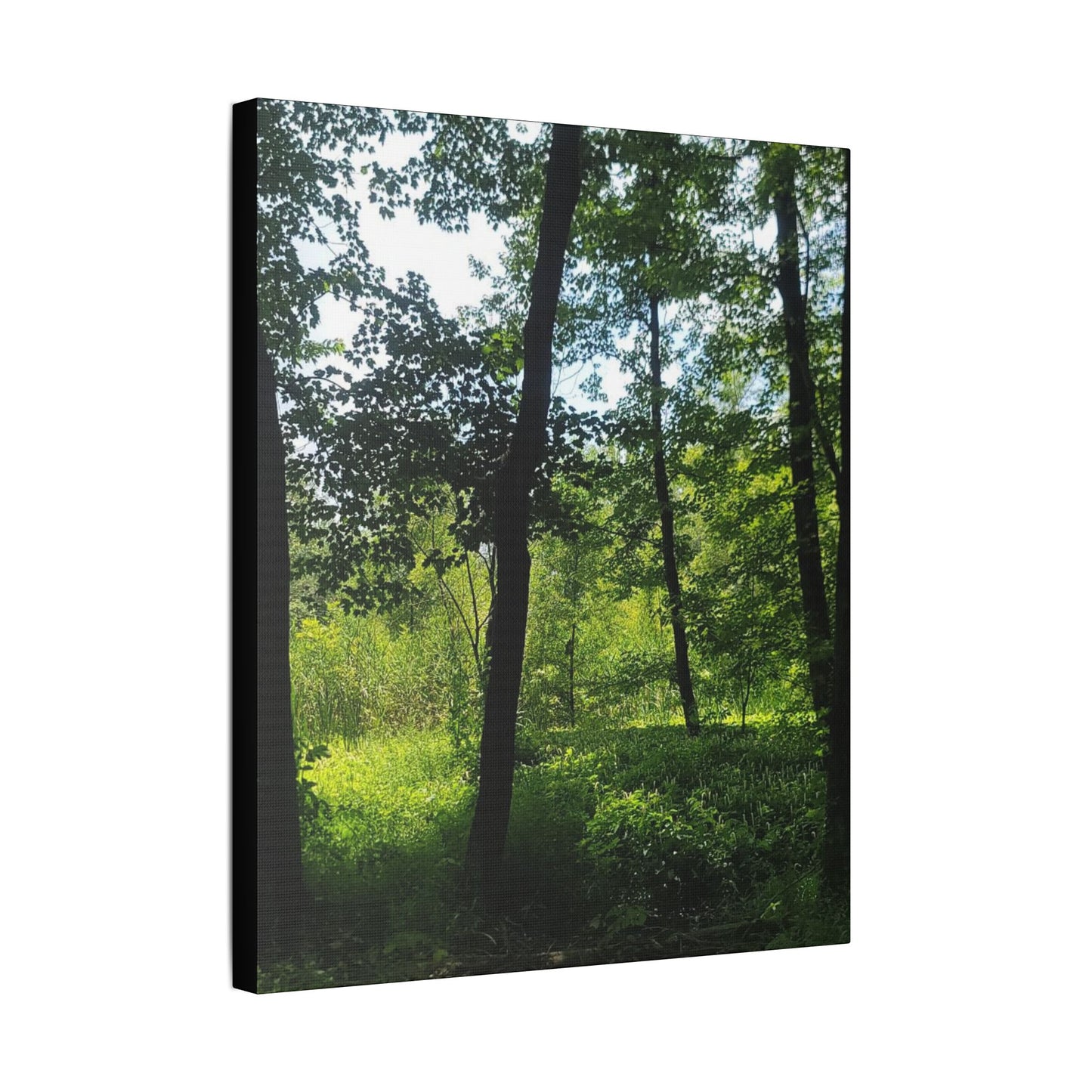 Scenic Canvas Wall Art - Nature-Inspired Home Decor, Forest Scene, Wall Hanging, Gift for Nature Lovers, Greenery Print